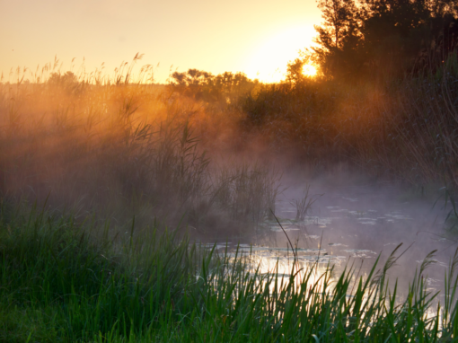 Consider, Focus & Ground