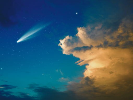 Something Magical is Birthing