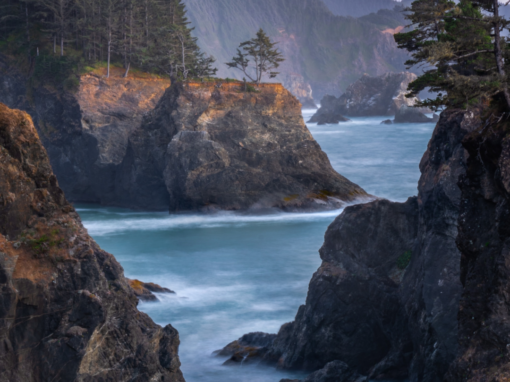 Internal Space of Reflection