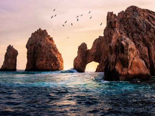 Pause, Evaluate & Explore