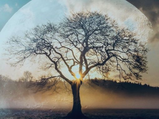 Rest & Replenish Your Energy