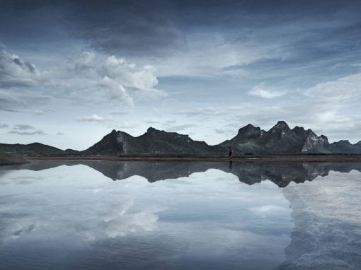 Unravelling the Past