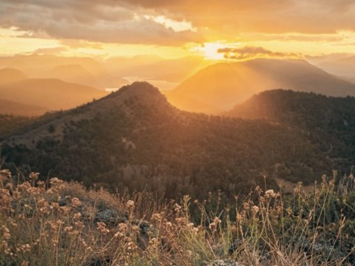 New State of Balance