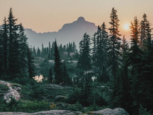 Physical Transmutation