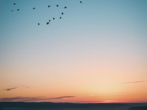 Balance Intuition with Logic