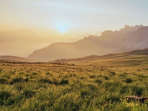 New Approaches to Life are Needed