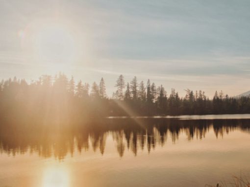 Make Peace with the Past