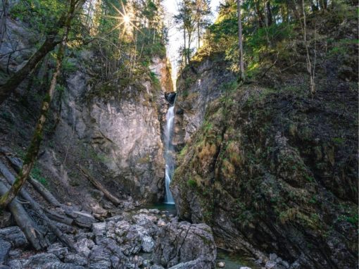 Renewed Enthusiasm for Life