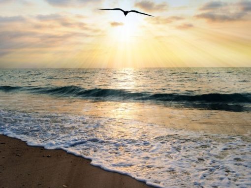 Pressure is Building