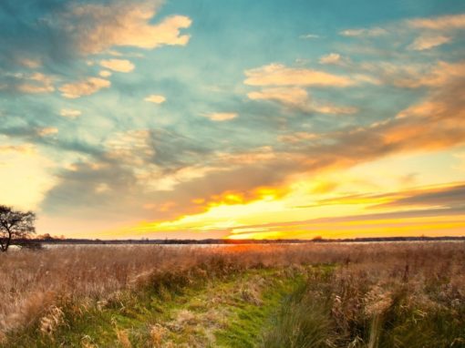 A New Energetic Configuration