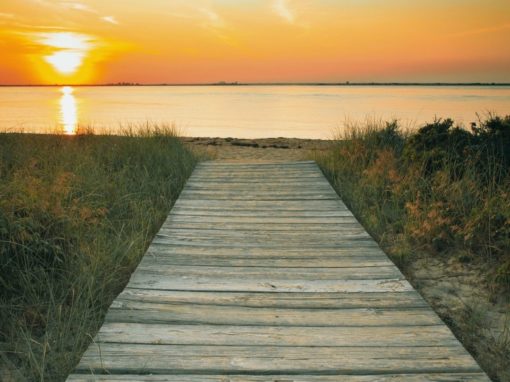 Recharge & Restore your Strength