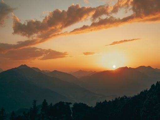 Dig Deep & Maintain Compassion