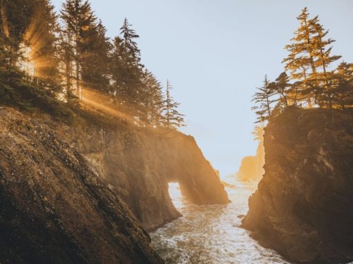 Resolution & Healing