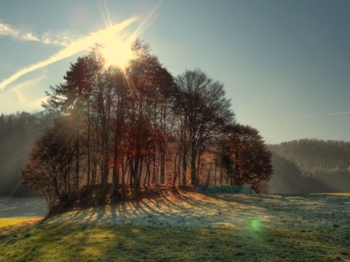 Restore, Recharge & Rebalance in Preparation