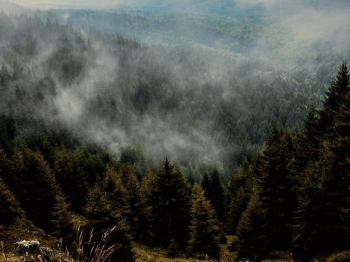 Centre Point of all Creation