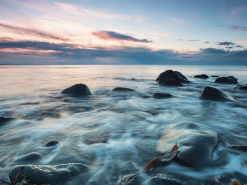 Choose to Expand Your Capacity