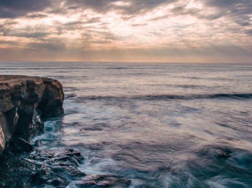 Consciously Activate a New Cycle