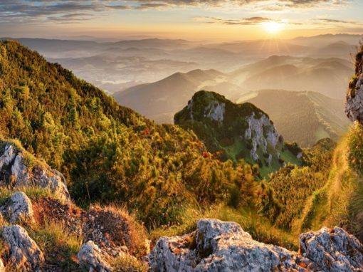 Returning to Your True Self