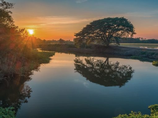 Balance Your Heart with Your Mind