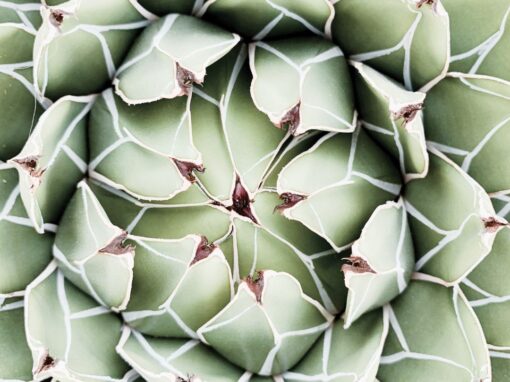 Heal & Release Yourself from the Past