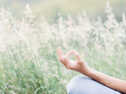 What are Family & Systemic Constellations